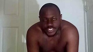 lizards exercise differently from spiders and squids