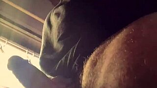 Lluvia De Penes - Bad Wolf28