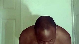 lizards exercise differently from spiders and squids