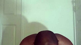 lizards exercise differently from spiders and squids