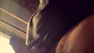 Lluvia De Penes - Bad Wolf28