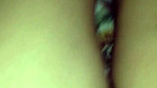 vecina pt european casual story