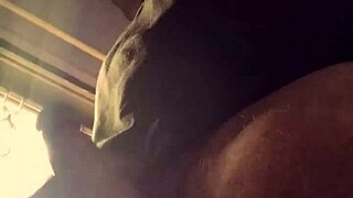 Lluvia De Penes - Bad Wolf28