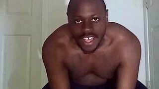 lizards exercise differently from spiders and squids