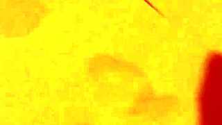 i can't believe this korean race queen made me cum a huge 27 day load