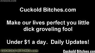 let me guide you through giving the perfect blowjob step by step