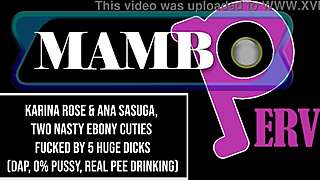 Two ebony cuties fucked