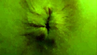 A story of bathroom antics for Leetdos