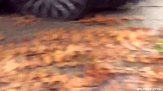 hey, check out this cougar in a threesome with two guys, sucking and fucking hard.