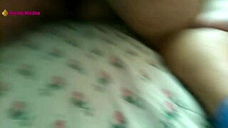 young bull arrives early morning for secret encounter