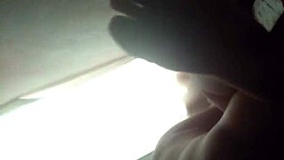 young bull arrives early morning for secret encounter