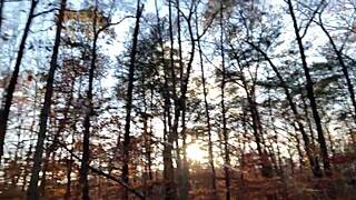 clitlicker662 shares update 21 with image 1257 from november 26 2024