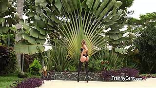 WATCH THIS SHEMALE BEAUTY GET GANG BANGED HARD BY MULTIPLE COCKS!