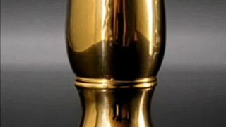 Audio snippet 2 english - the journey of the seal - prequel beatrices disgrace - ai generated