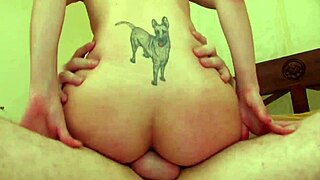 Rough Hardsex Amateur Porn, What Do You Think?