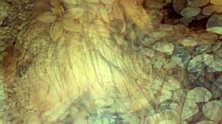 Ordering and fucking my slave trailer