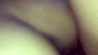 FICAR EM CASA PARTE 2