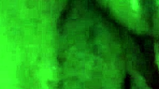 Does Omar love German vagina?