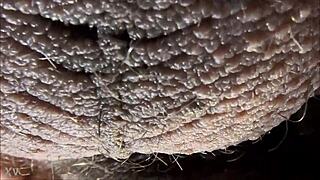 Latina girl explains ablative case of testicles in latin