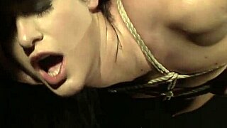 barbie pink bdsm movie with bondage and domination scenes