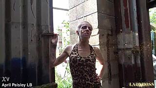 Double anal mechanic breakdown services.