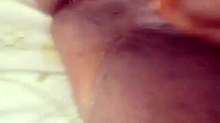 nigarchrist update 1394 petal on june 12 2025 at 201631