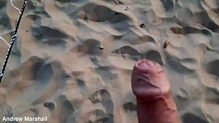 sensational beach volleyball now available digitally everywhere