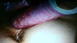 blindfolded mature wife fucked with rabbit