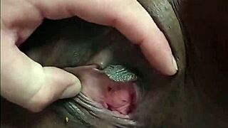 skinny cute ebony girl gets sensually groped by white man in homemade scene, displaying her swollen wet pussy