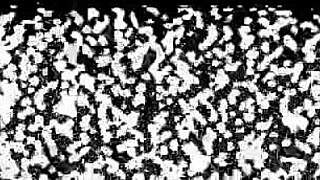 i blasted raya nguyens pussy with cum