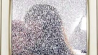 Raya Nguyen's Petite Ass Blasted with Hot Cum POV!