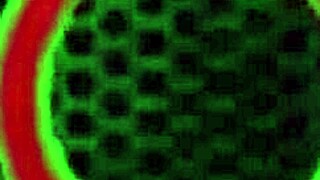 wanna join this milf orgy with big tits riding cocks and deepthroats in rome?