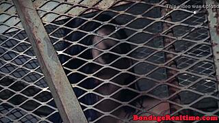 Bdsm redhead sub nipple clamped and toyed