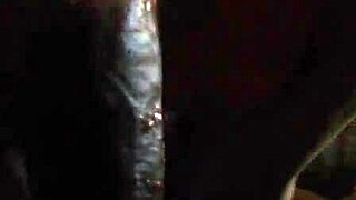 black latina goes deep on thick cock in homemade oral session