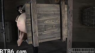 wanna hear our nasty sadomasochism stories with hardcore bdsm sucking and licking?