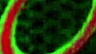 sara jay teases juicy curves in red stockings solo