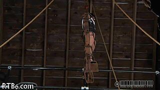 naughty lusty collaring that ravishing sweetheart hard 😈🔥