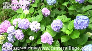 初撮り人妻ドキュメント 岩沢香代 Sucks Cock and Takes Doggystyle Creampie