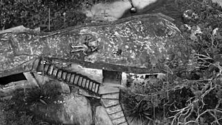 what if sara ninfetinha's young natural tits hide the ultimate oral babe delight