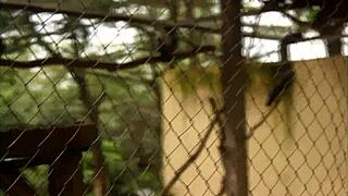 wow his huge cock stuffs my mouth and tight ass in public park fuck!!