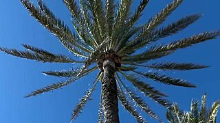 Pounding Naughty Amateur Milfs Part 5