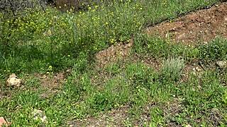 american tourist shocked saudi sextoy dealer gapes her pussy second hand dildo