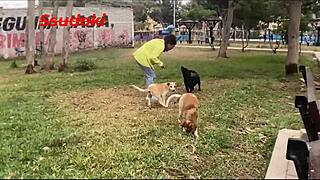 went to see her cats but we fucked in her room instead best ever