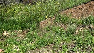 american tourist shocked saudi sextoy dealer gapes her pussy second hand dildo