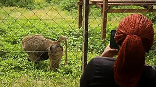 wow his huge cock stuffs my mouth and tight ass in public park fuck!!