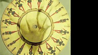 vintage hairy beaver pussy in erotic retro display