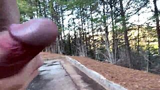 ever wonder what clitlicker662 flashes in forest img 1283?