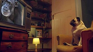 oh fantasie and emily pink goin wild on each other lesbo style