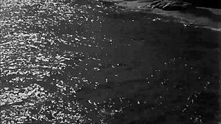 vintage hairy beaver pussy in erotic retro display