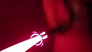 Wonder Star struts confidently in pantyhose